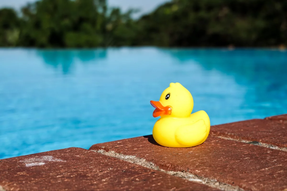 Google gave la recherche avec l'IA, DuckDuckGo ramasse les déçus
